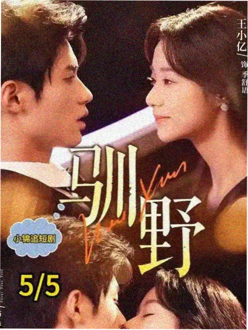 好看影院片目图鉴卡：雾港笔记的竖版卡面